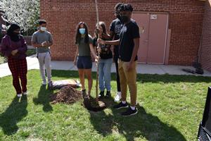 BSU Tree Planting
